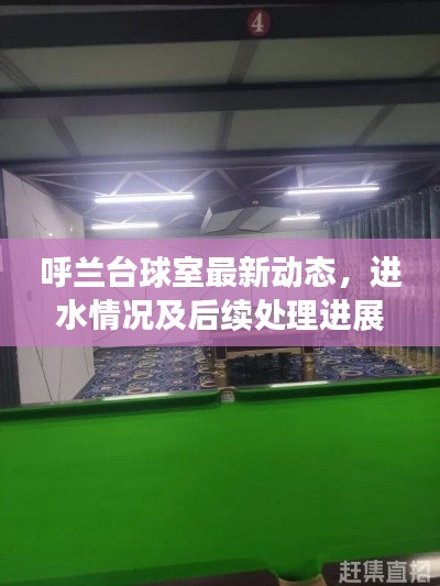 呼蘭臺球室最新動態(tài)，進水情況及后續(xù)處理進展揭秘