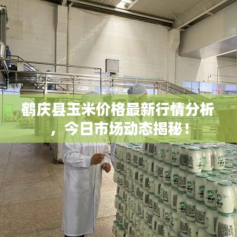 鶴慶縣玉米價(jià)格最新行情分析，今日市場(chǎng)動(dòng)態(tài)揭秘！