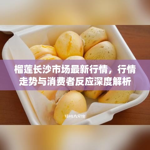 榴蓮長(zhǎng)沙市場(chǎng)最新行情，行情走勢(shì)與消費(fèi)者反應(yīng)深度解析