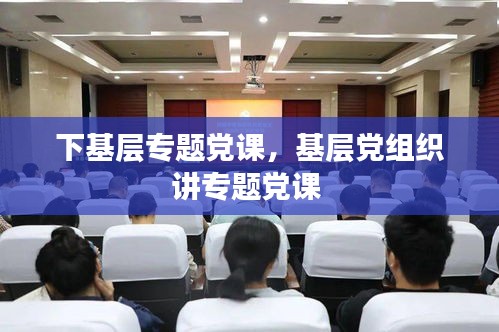 下基層專題黨課，基層黨組織講專題黨課 