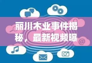 麗川木業(yè)事件揭秘，最新視頻曝光，深度探究背后真相