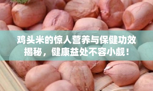 雞頭米的驚人營養(yǎng)與保健功效揭秘，健康益處不容小覷！