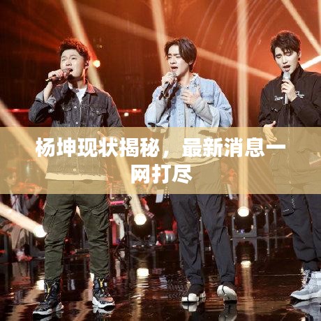 楊坤現(xiàn)狀揭秘，最新消息一網(wǎng)打盡