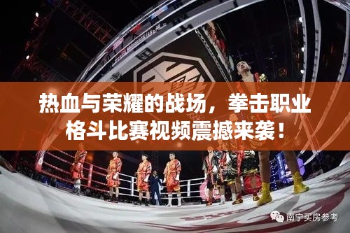 熱血與榮耀的戰(zhàn)場(chǎng)，拳擊職業(yè)格斗比賽視頻震撼來(lái)襲！