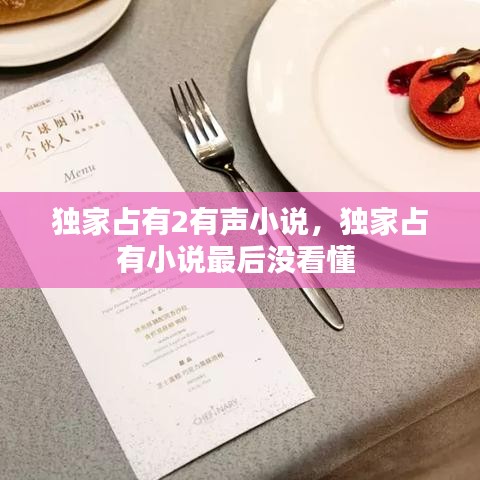 獨家占有2有聲小說，獨家占有小說最后沒看懂 