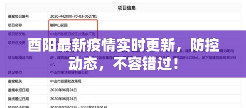 酉陽(yáng)最新疫情實(shí)時(shí)更新，防控動(dòng)態(tài)，不容錯(cuò)過！