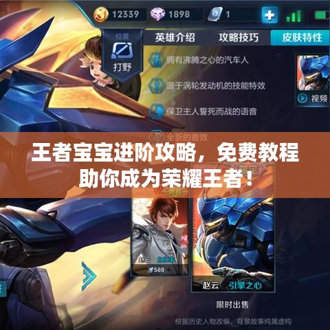 王者寶寶進(jìn)階攻略，免費(fèi)教程助你成為榮耀王者！