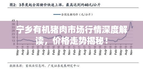 寧鄉(xiāng)有機豬肉市場行情深度解讀，價格走勢揭秘！