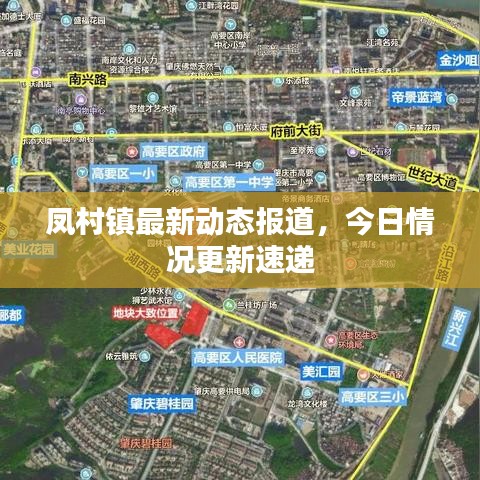 鳳村鎮(zhèn)最新動態(tài)報道，今日情況更新速遞