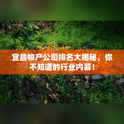宜昌物產(chǎn)公司排名大揭秘，你不知道的行業(yè)內(nèi)幕！