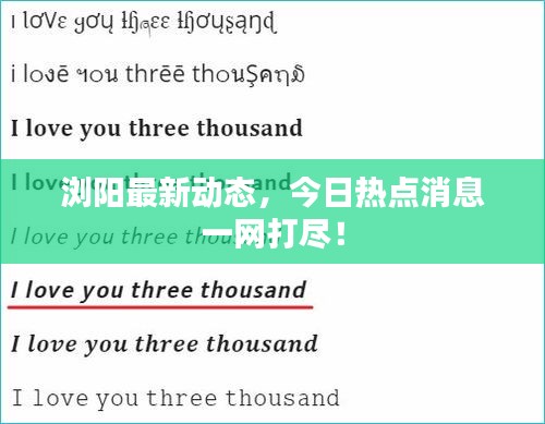 瀏陽最新動態(tài)，今日熱點消息一網(wǎng)打盡！