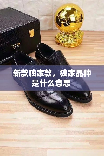 新款獨(dú)家款，獨(dú)家品種是什么意思 