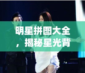 明星拼圖大全，揭秘星光背后的精彩瞬間