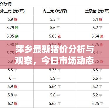 萍鄉(xiāng)最新豬價分析與觀察，今日市場動態(tài)揭秘