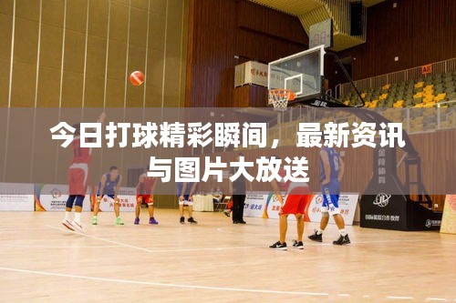 今日打球精彩瞬間，最新資訊與圖片大放送