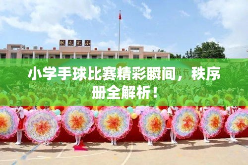 小學(xué)手球比賽精彩瞬間，秩序冊(cè)全解析！