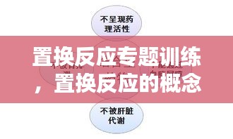 置換反應(yīng)專題訓(xùn)練，置換反應(yīng)的概念和例子 