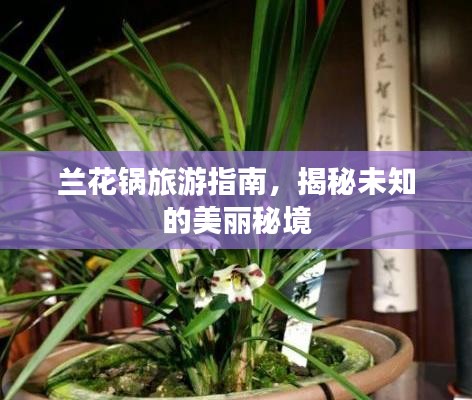 蘭花鍋旅游指南，揭秘未知的美麗秘境