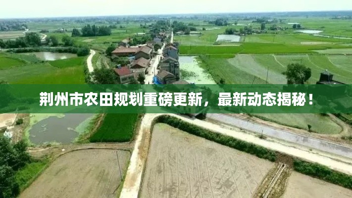 荊州市農(nóng)田規(guī)劃重磅更新，最新動態(tài)揭秘！