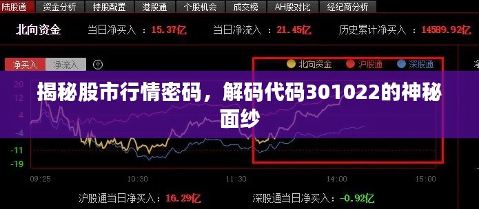 揭秘股市行情密碼，解碼代碼301022的神秘面紗