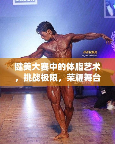 健美大賽中的體脂藝術(shù)，挑戰(zhàn)極限，榮耀舞臺(tái)