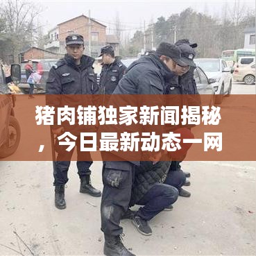 豬肉鋪獨(dú)家新聞揭秘，今日最新動(dòng)態(tài)一網(wǎng)打盡