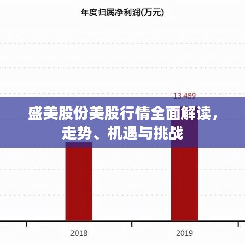 盛美股份美股行情全面解讀，走勢、機(jī)遇與挑戰(zhàn)