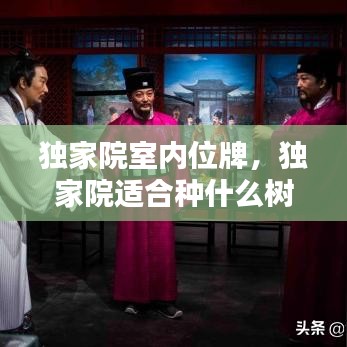 獨(dú)家院室內(nèi)位牌，獨(dú)家院適合種什么樹(shù) 