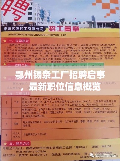 鄂州錫條工廠招聘啟事，最新職位信息概覽