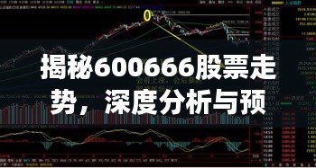 揭秘600666股票走勢，深度分析與預測