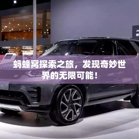 螞蜂窩探索之旅，發(fā)現(xiàn)奇妙世界的無限可能！