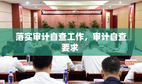 落實(shí)審計(jì)自查工作，審計(jì)自查要求 