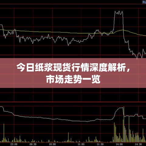 今日紙漿現(xiàn)貨行情深度解析，市場走勢一覽
