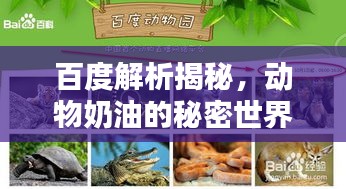百度解析揭秘，動物奶油的秘密世界！