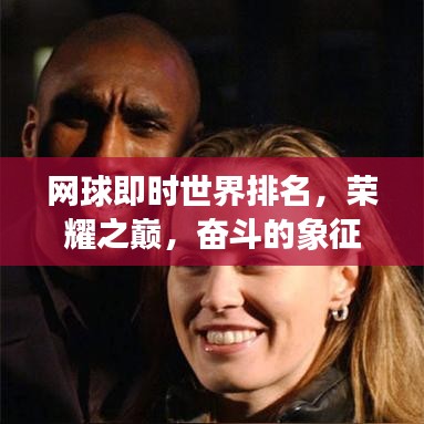 網(wǎng)球即時世界排名，榮耀之巔，奮斗的象征