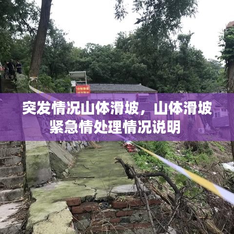 突發(fā)情況山體滑坡，山體滑坡緊急情處理情況說明 