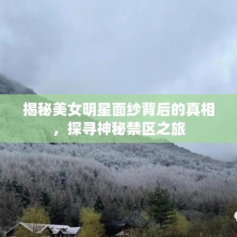 揭秘美女明星面紗背后的真相，探尋神秘禁區(qū)之旅