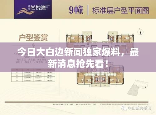 今日大白邊新聞獨(dú)家爆料，最新消息搶先看！