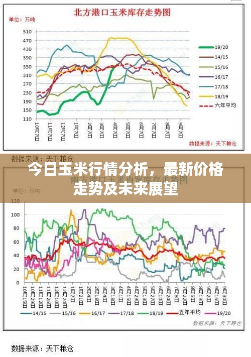 今日玉米行情分析，最新價(jià)格走勢及未來展望