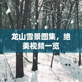 龍山雪景圖集，絕美視頻一覽