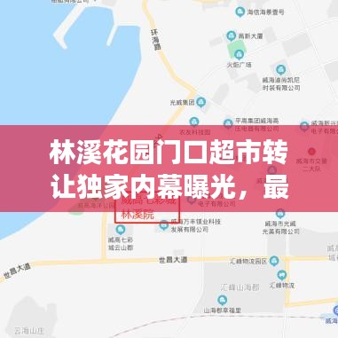林溪花園門(mén)口超市轉(zhuǎn)讓獨(dú)家內(nèi)幕曝光，最新消息揭秘重磅交易！