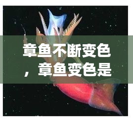 章魚(yú)不斷變色，章魚(yú)變色是主動(dòng)變異嗎 