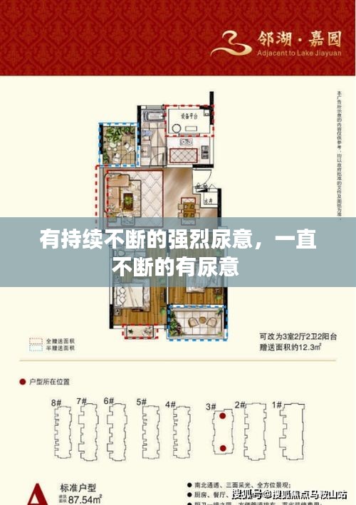 有持續(xù)不斷的強烈尿意，一直不斷的有尿意 