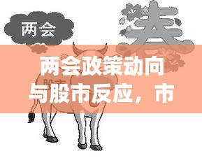 兩會政策動向與股市反應(yīng)，市場走勢揭秘，投資機(jī)會前瞻