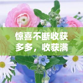 驚喜不斷收獲多多，收獲滿滿的驚喜 