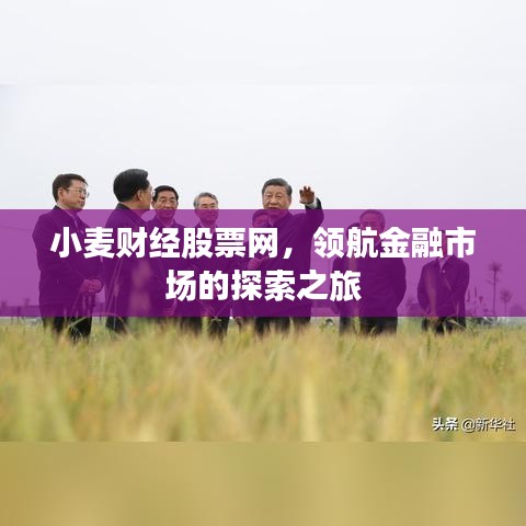 小麥財(cái)經(jīng)股票網(wǎng)，領(lǐng)航金融市場(chǎng)的探索之旅