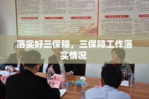 落實好三保障，三保障工作落實情況 