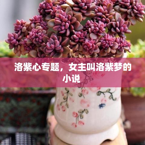 洛紫心專題，女主叫洛紫夢的小說 