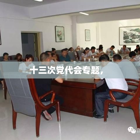 十三次黨代會專題， 