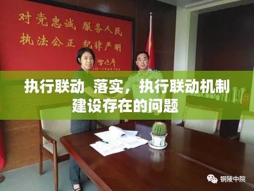 執(zhí)行聯(lián)動(dòng)  落實(shí)，執(zhí)行聯(lián)動(dòng)機(jī)制建設(shè)存在的問題 